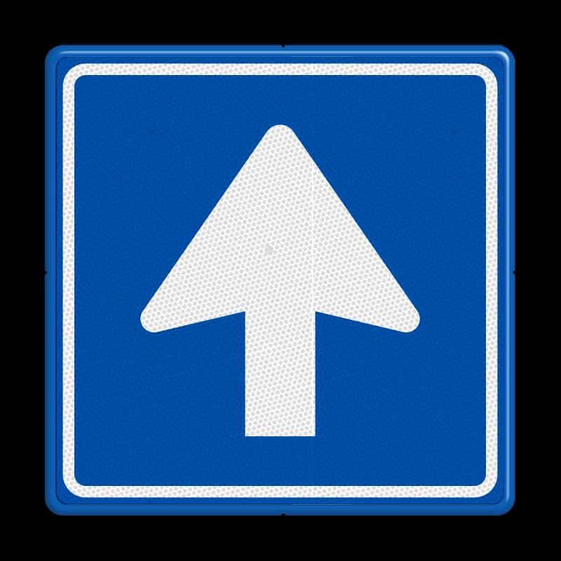 Verkeersbord C03: Eenrichtingsweg, u mag alleen vanaf deze zijde inrijden.